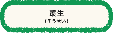 叢生（そうせい）